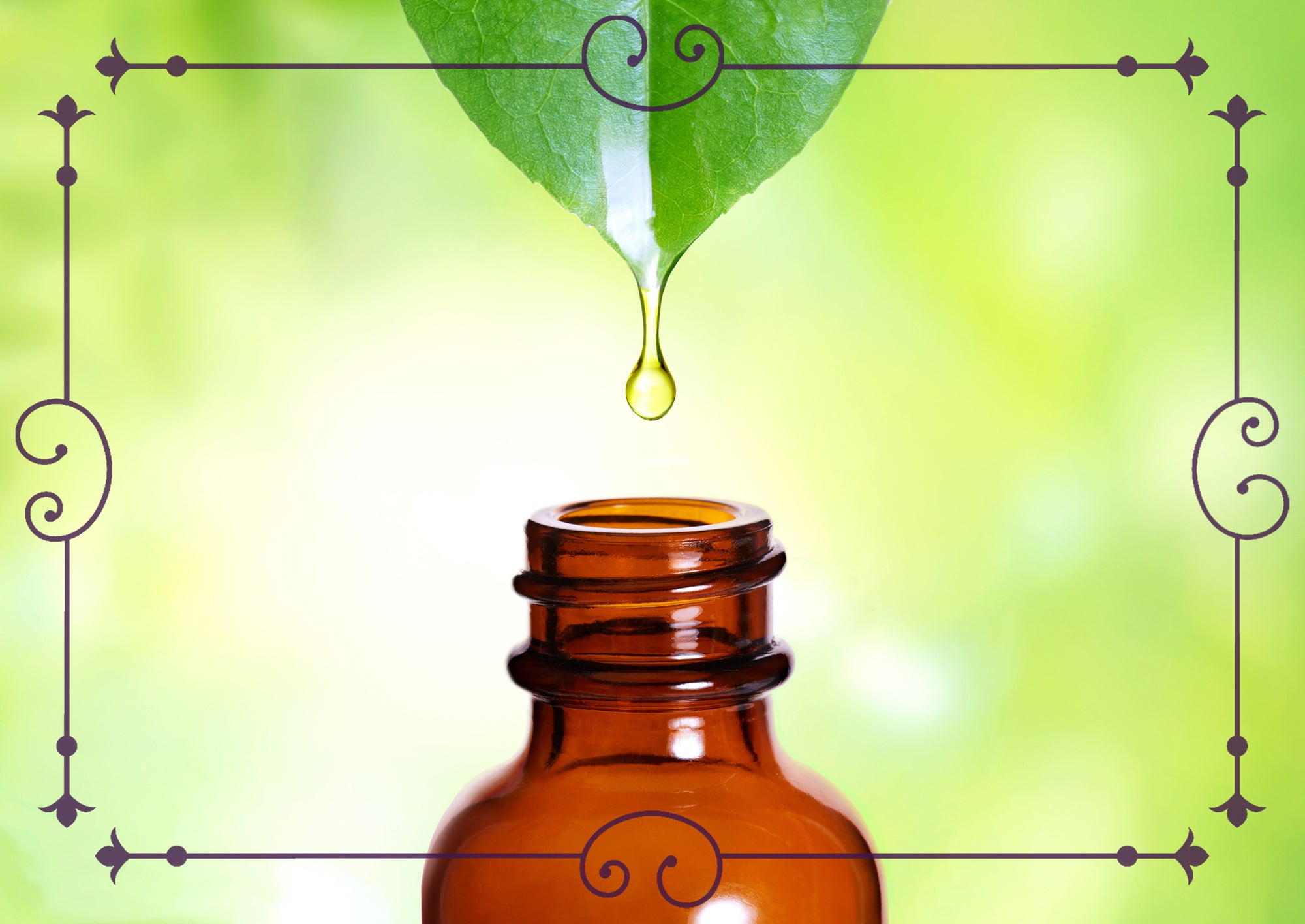 Your Spring Self-Care Needs A Revamp: Our Must-Haves at the Conscious Beauty Collective pop-up