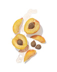 Apricot on white background