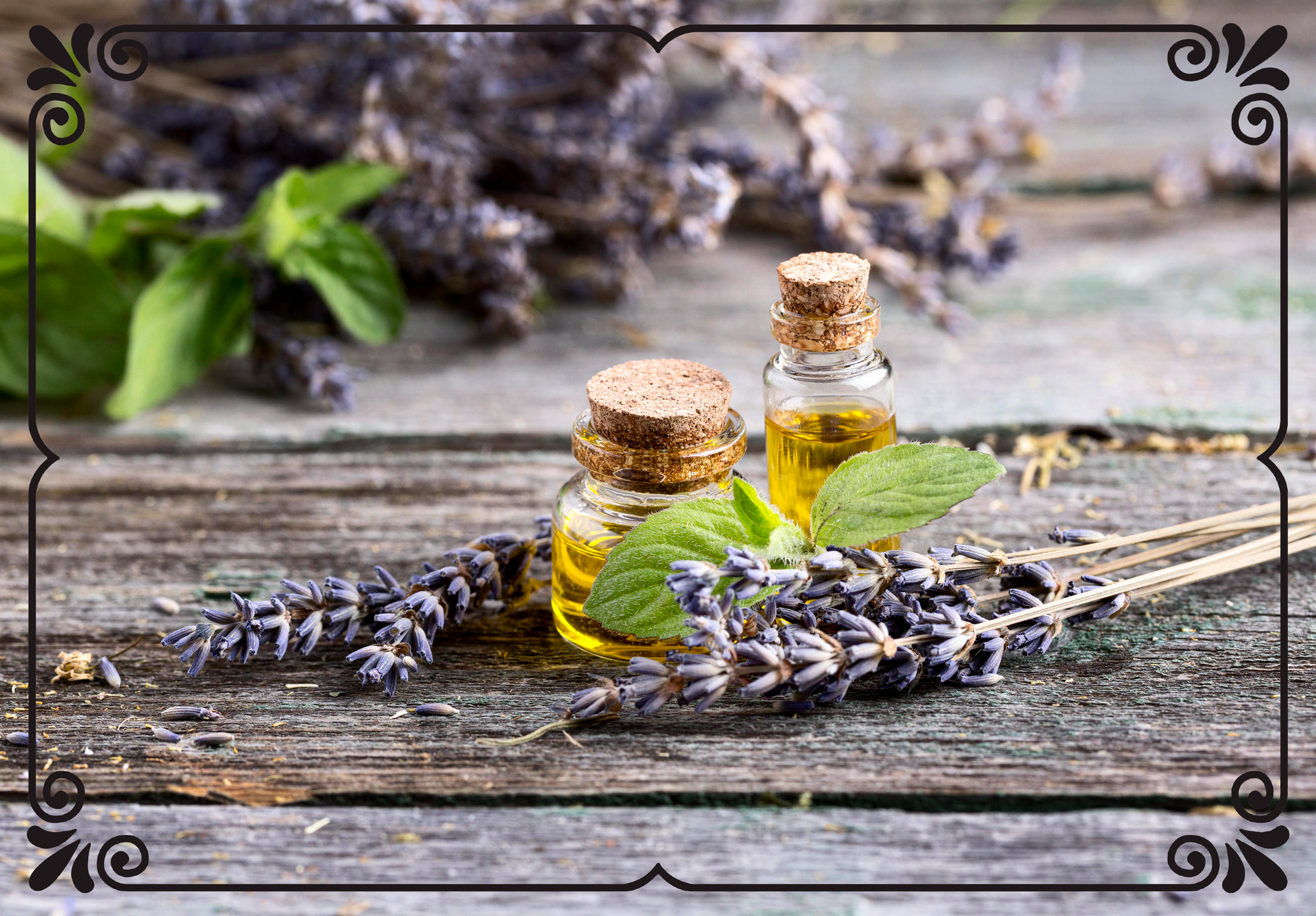 The Best Facial Oils for Aging Skin: Essential Natural Skincare for Menopause